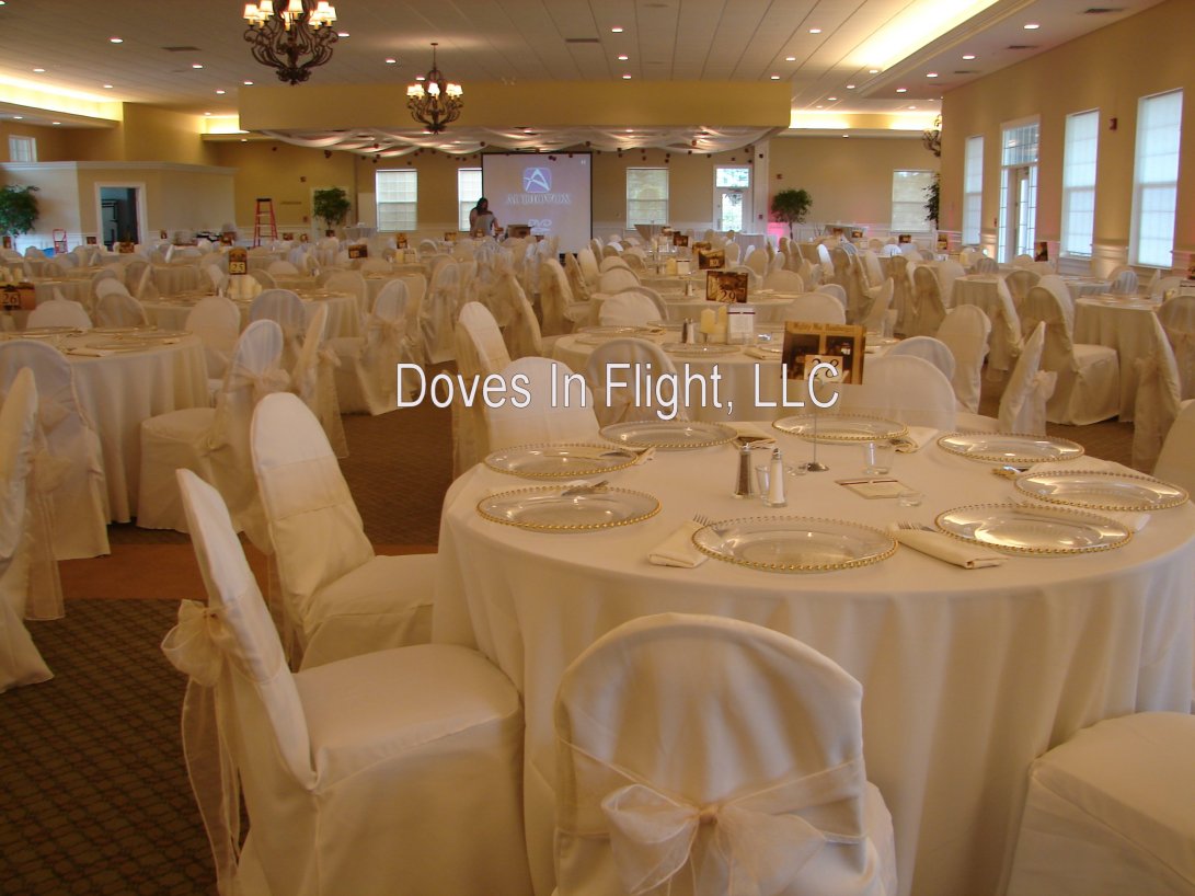 chairs and covers